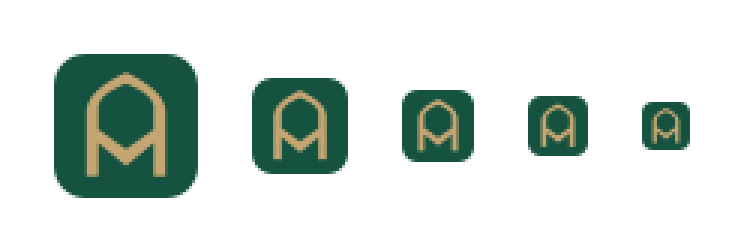 Favicon at 48, 32, 24, 20 and 16 px on white